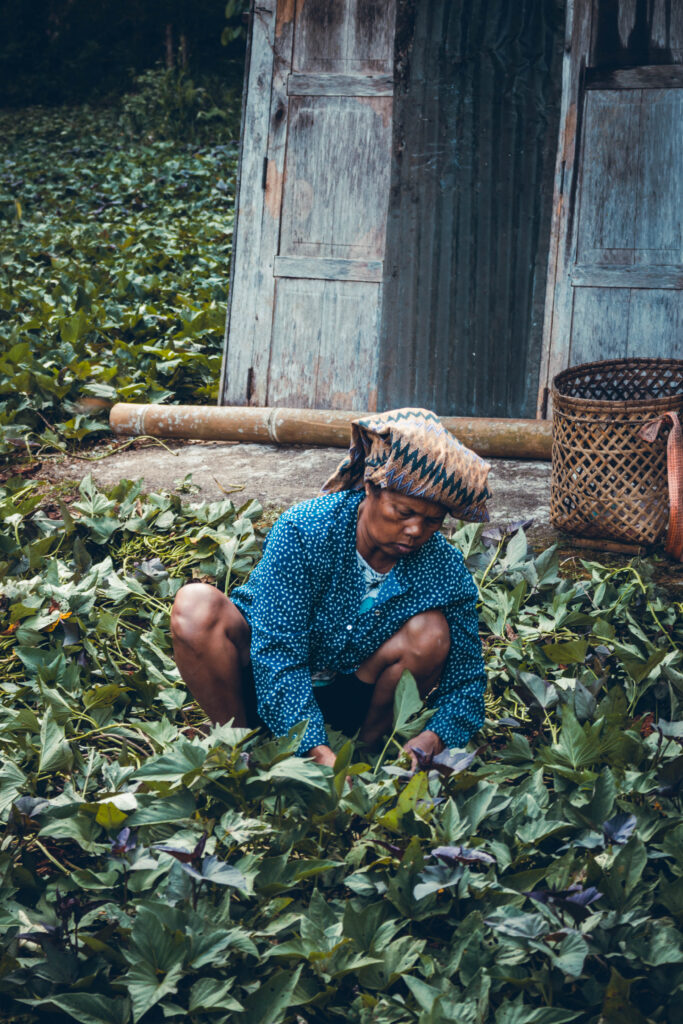 Portrait d'une travailleuse à Sulawesi