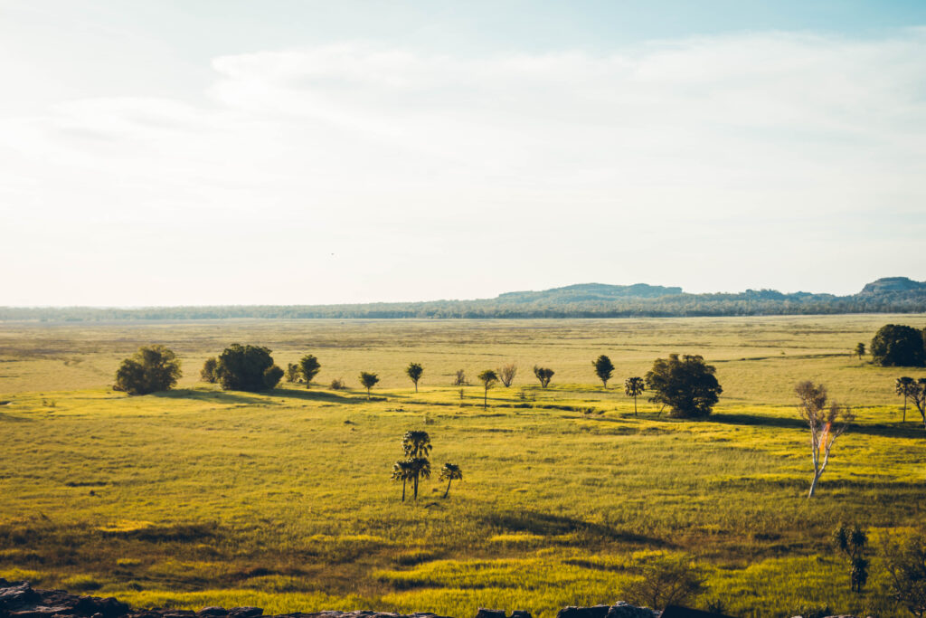 Nadab Lookout, nord de l'Australie