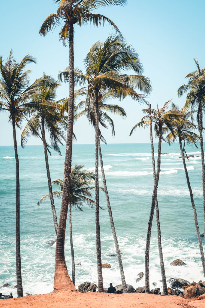 Coconut Tree Hill Mirissa