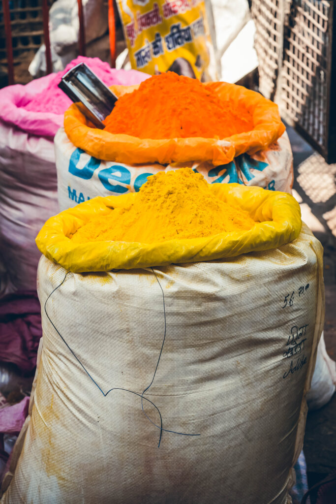 Festival des couleurs Jaipur