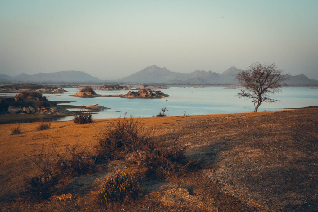 Jawai Bandh Rajasthan Inde