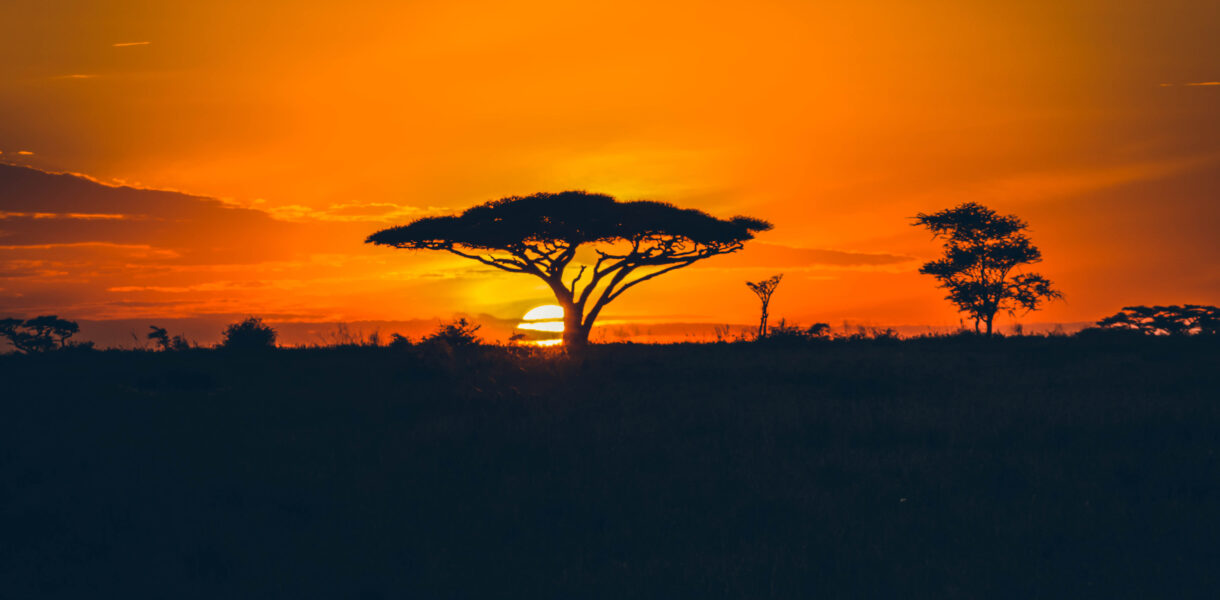 Coucher de soleil Serengeti