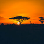 Coucher de soleil Serengeti