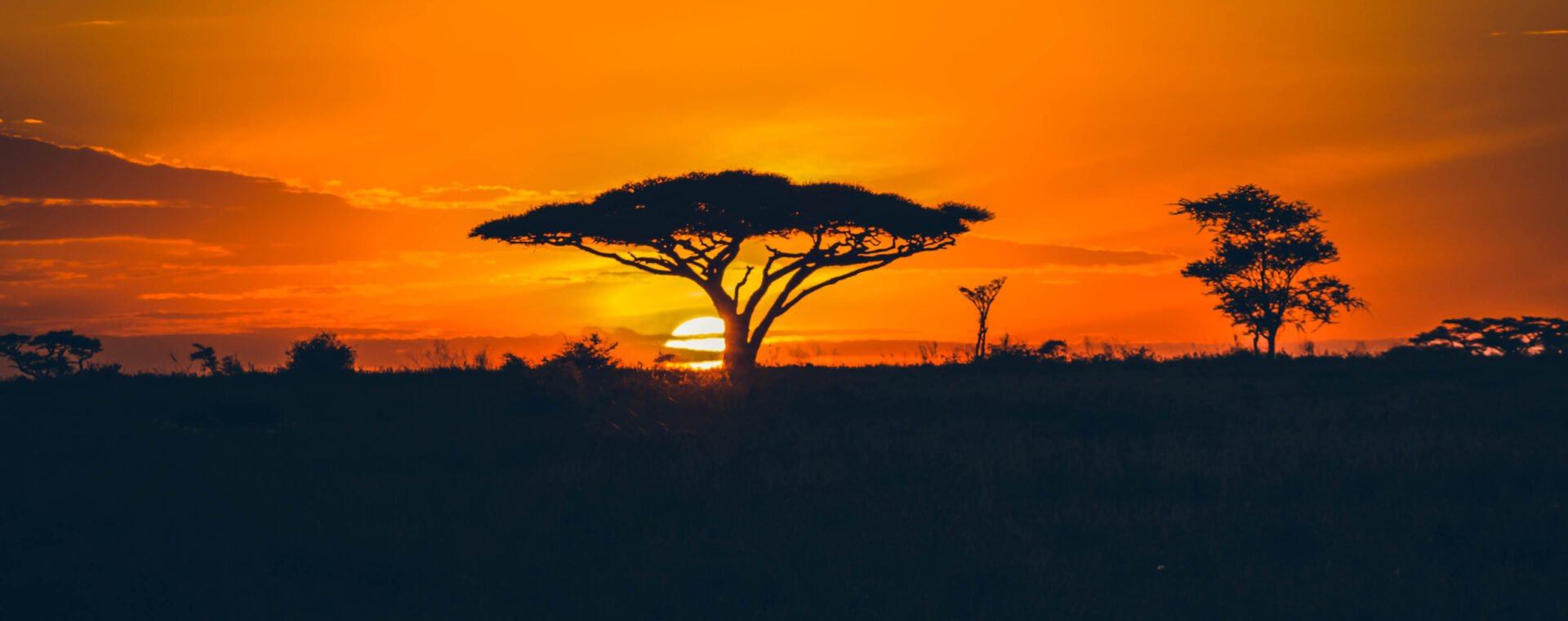 Coucher de soleil Serengeti