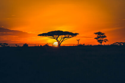 Coucher de soleil Serengeti