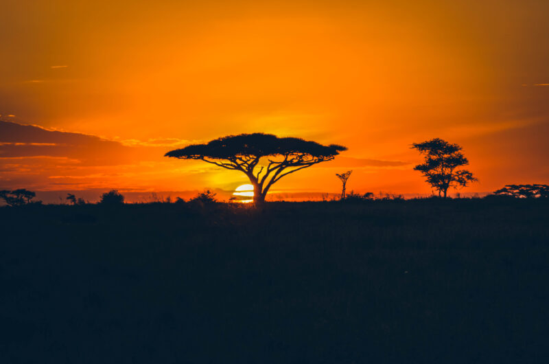 Coucher de soleil Serengeti