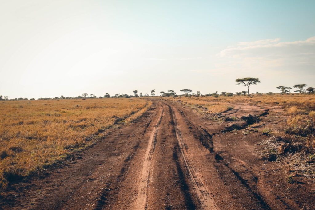 Piste Serengeti en Tanzanie