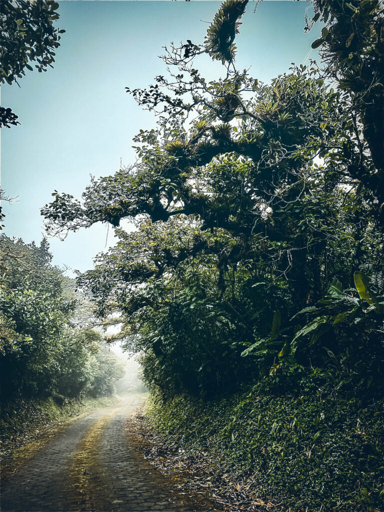 Mombacho rainforest, Nicaragua
