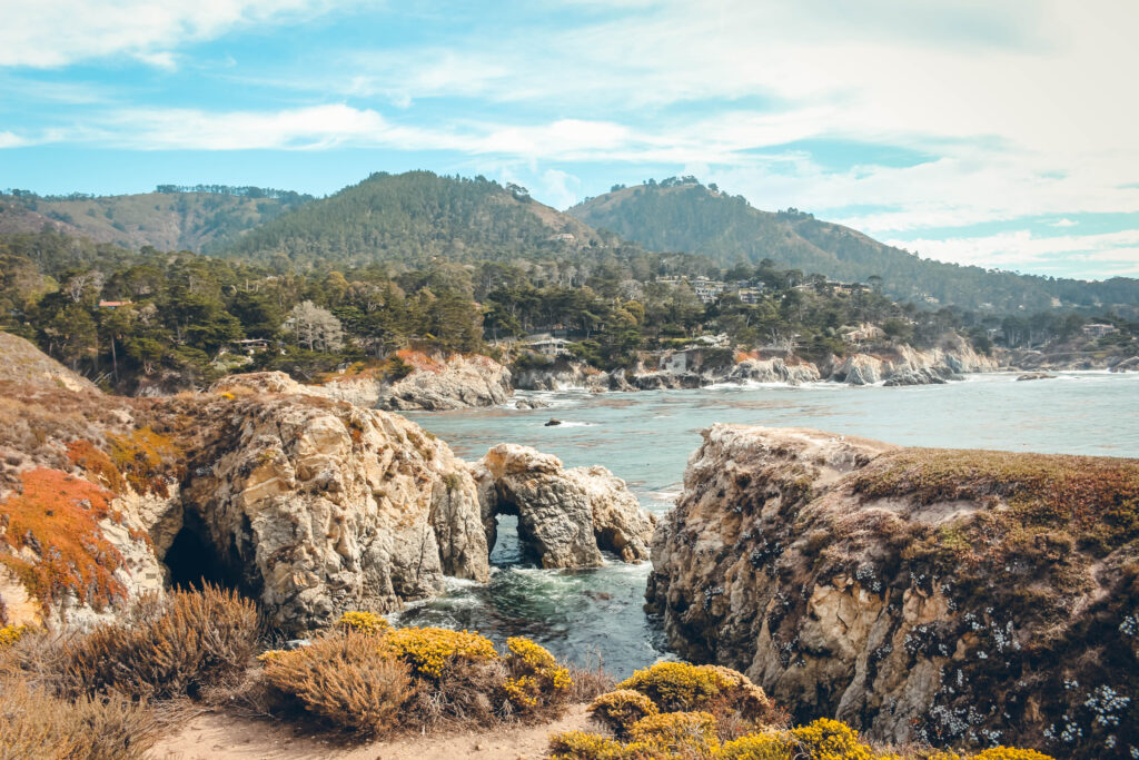 Point Lobos State Reserve, ouest américain