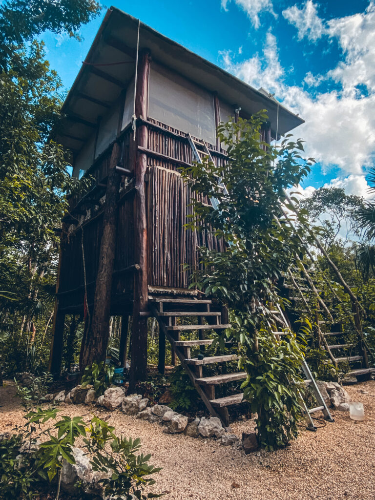 Workaway dans la jungle de Coba au Mexique