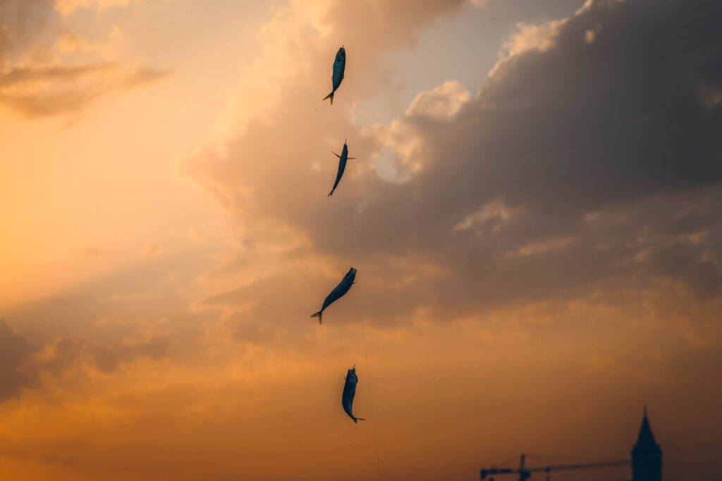 Coucher de soleil sur le Bosphore et pêcheurs de sardines, Istanbul