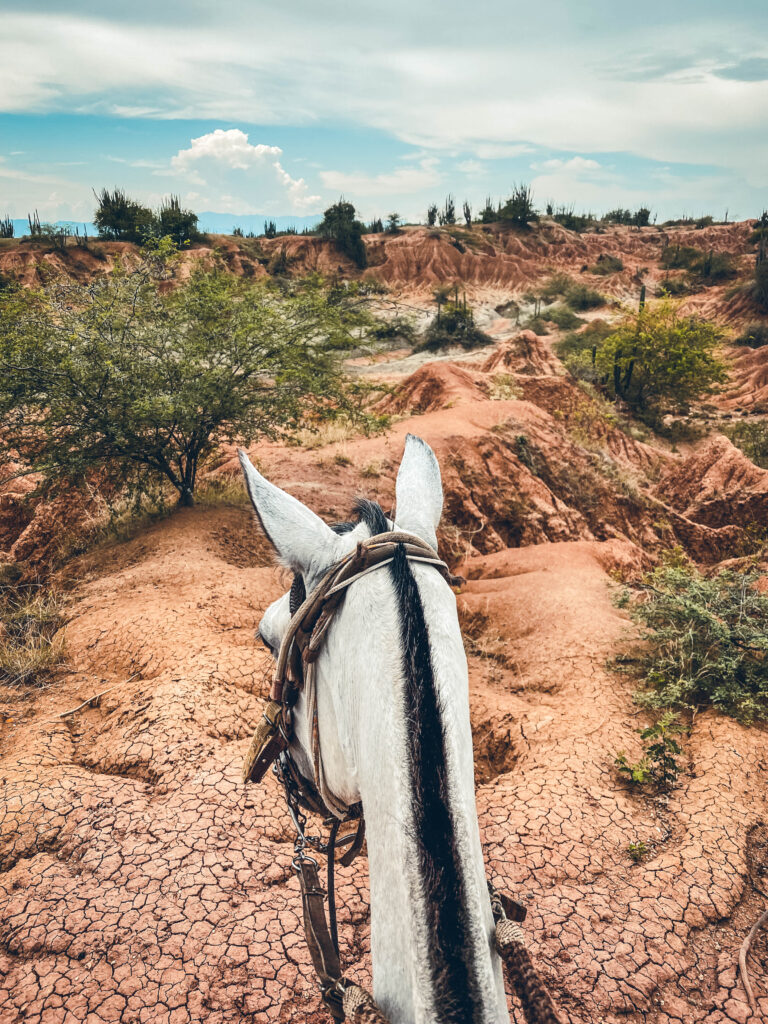 Cheval dans le désert de Tatacao en Colombie