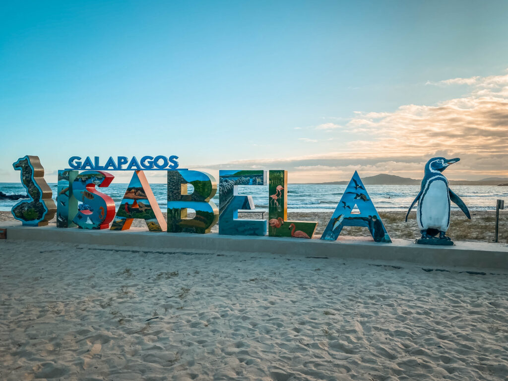 Plage Isabella, Galápagos