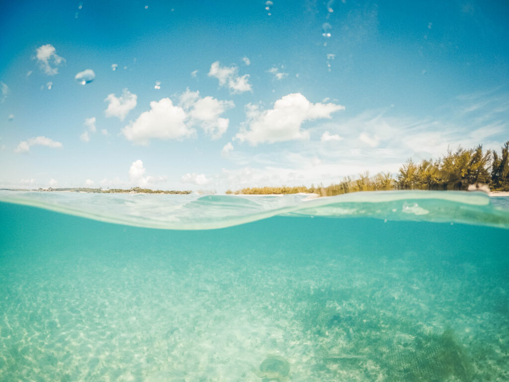 Tortue Jolly Beach Exuma