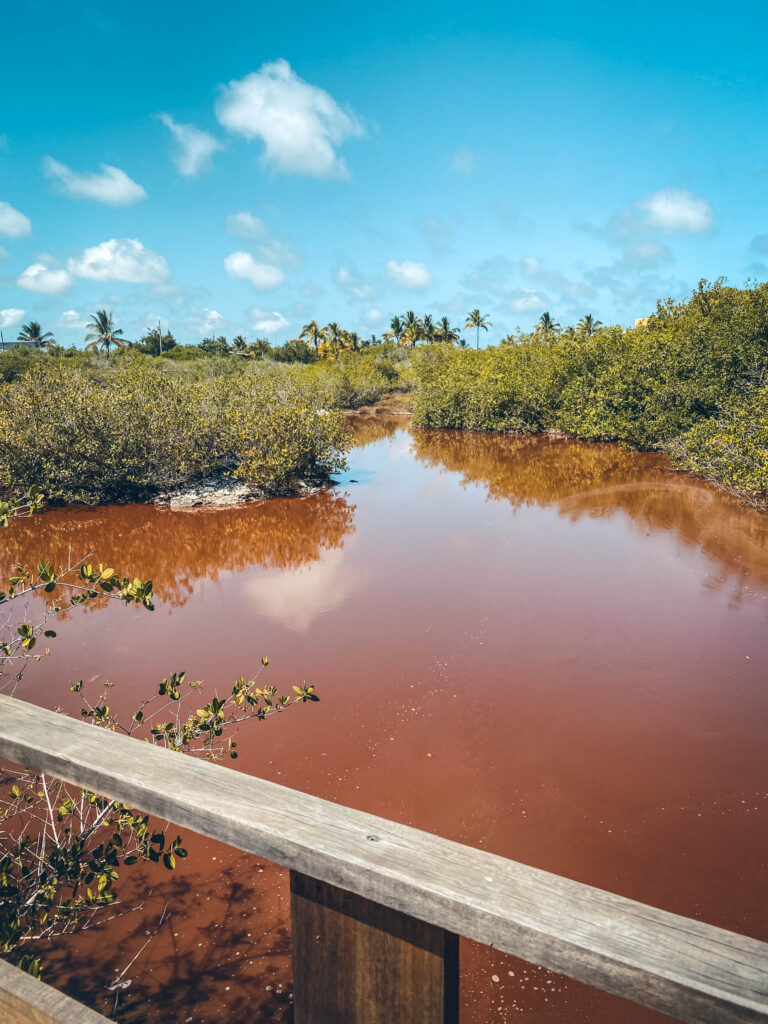 Lagune Galápagos