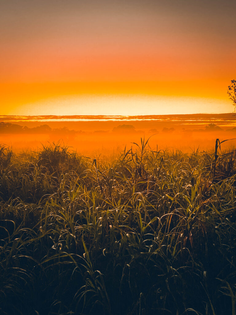 Lever de soleil en Amazonie, Bolivie