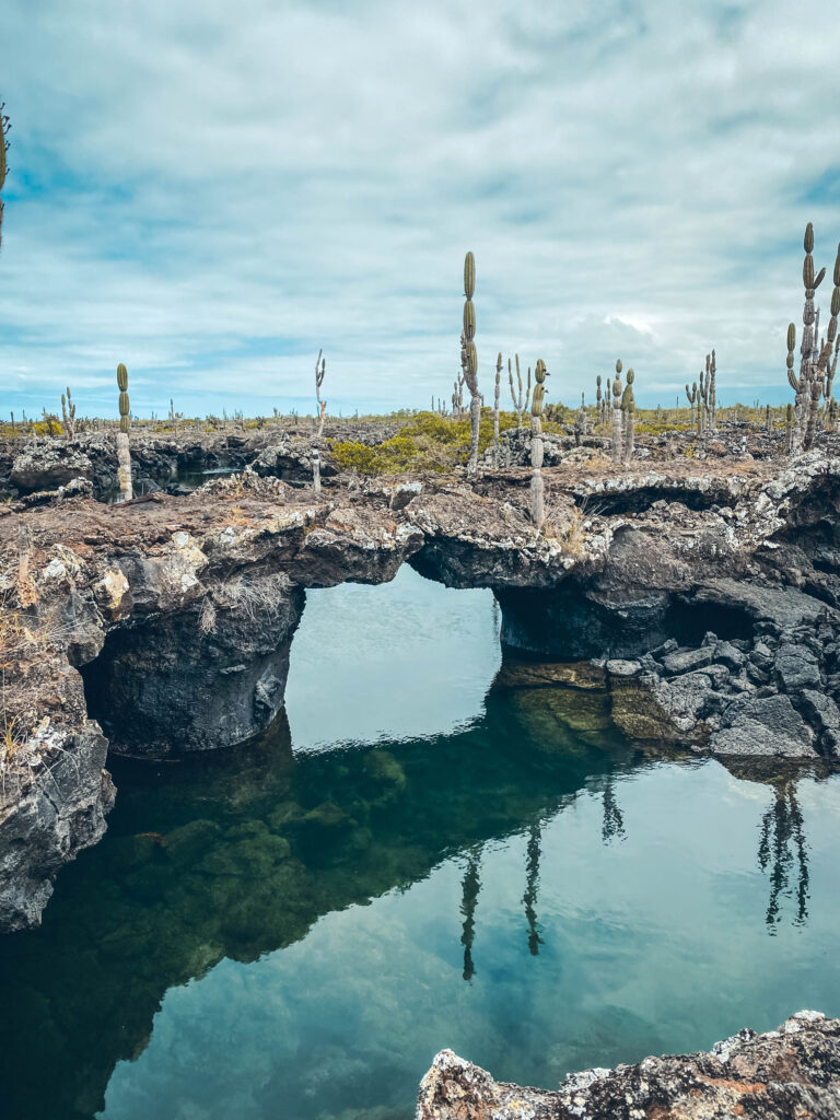 Los Tuneles Galápagos