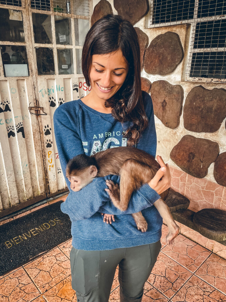 Paseo de los Monos, volontariat en Équateur