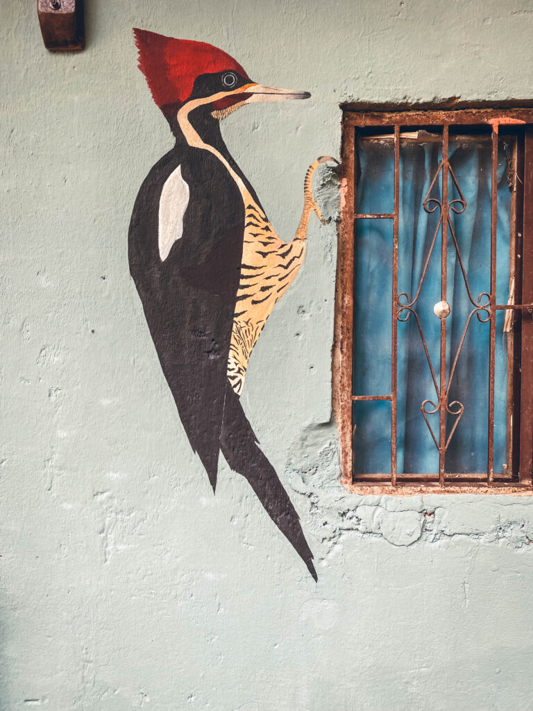 Peinture Workaway Colombie