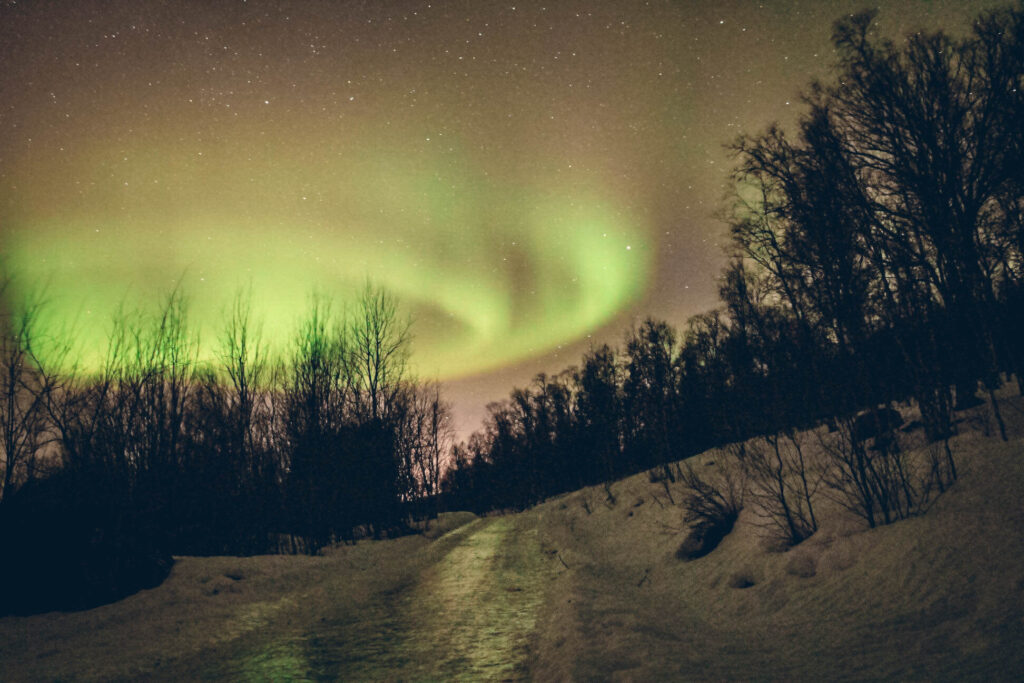 Aurore boréale Tromsø