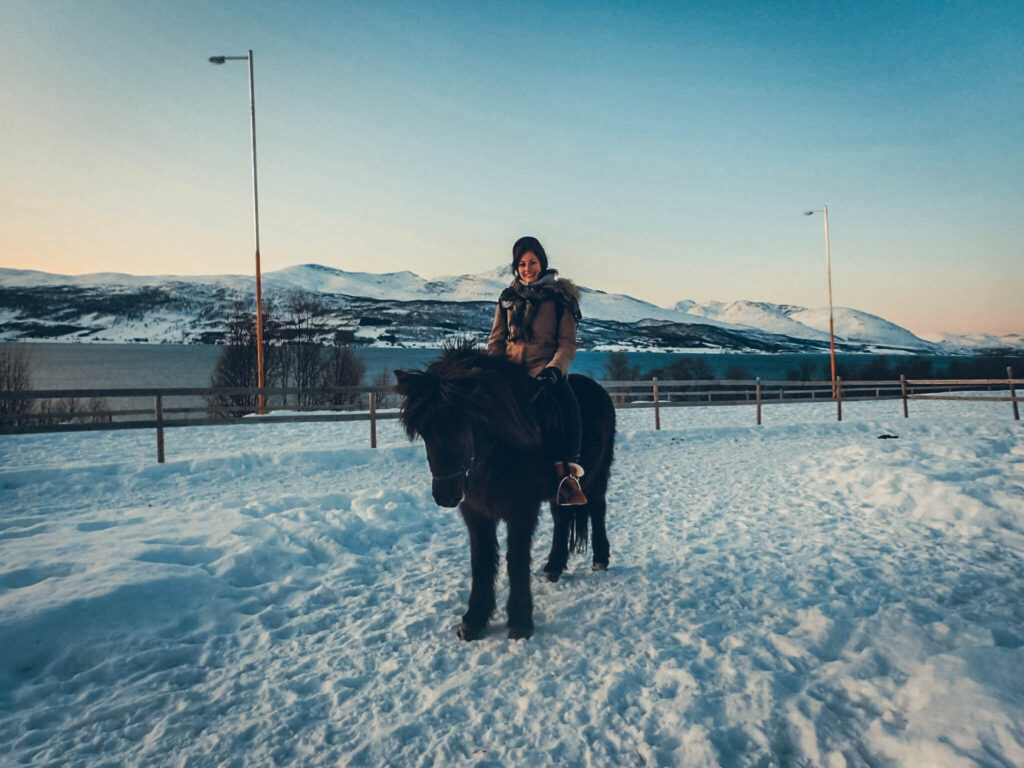 Balade à cheval Tromsø
