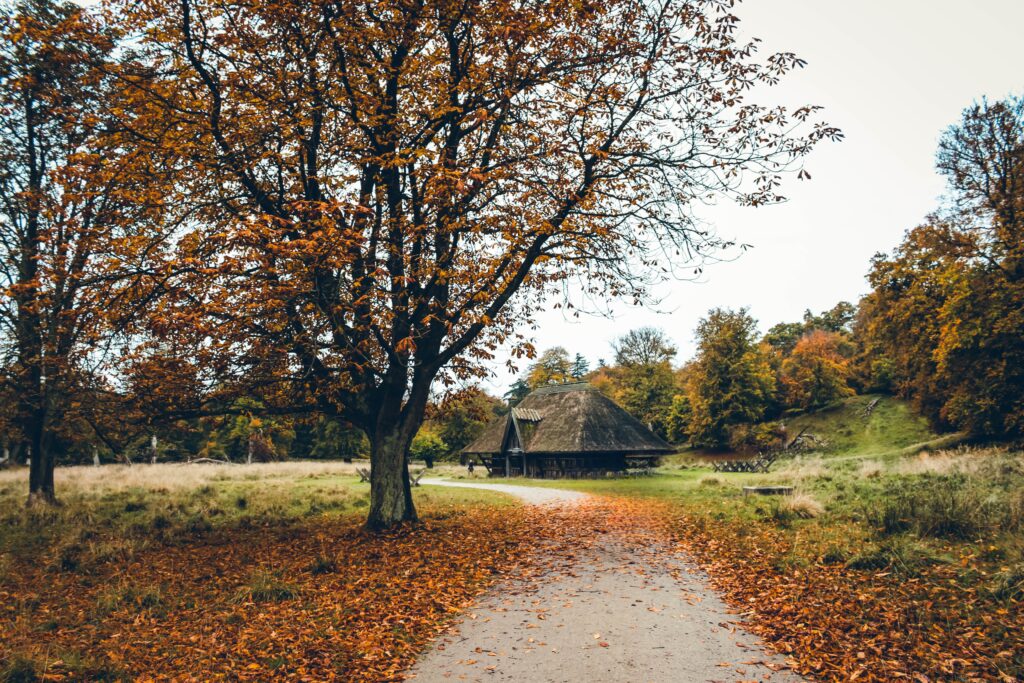 Dyrehave aux alentours de Copenhague