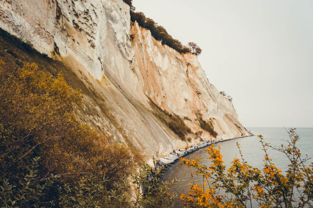 Falaises Møns Klint aux alentours de Copenhague