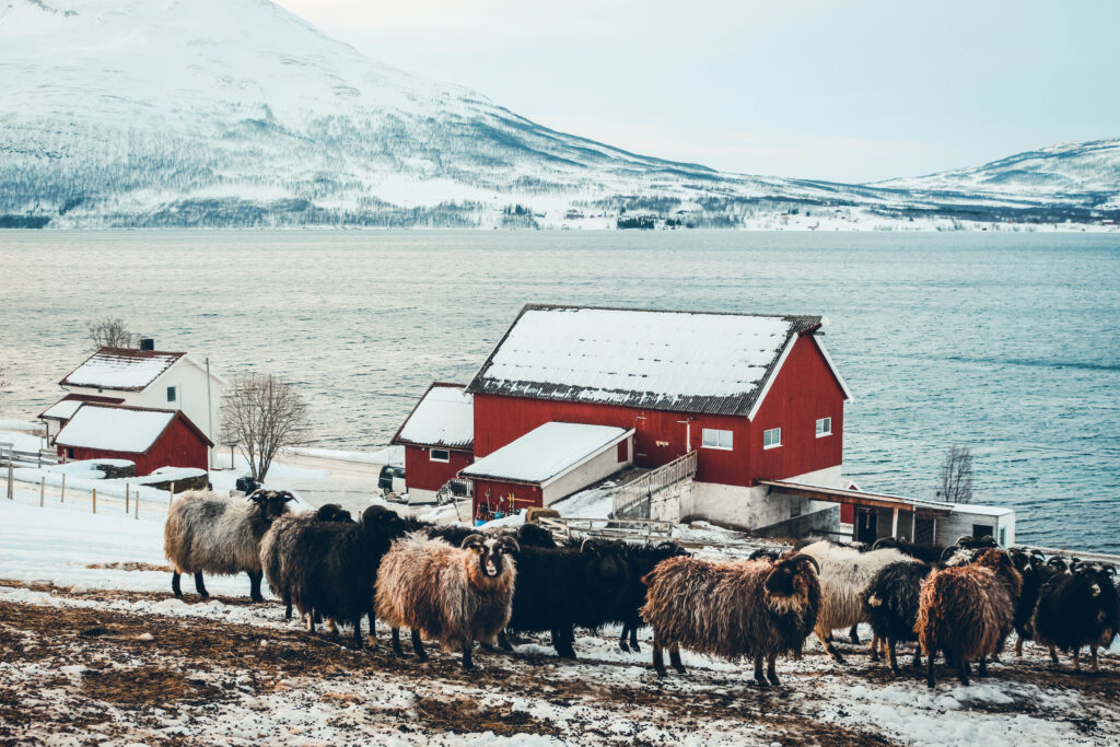 Ferme Nordre Hestnes Gård, Tromsø