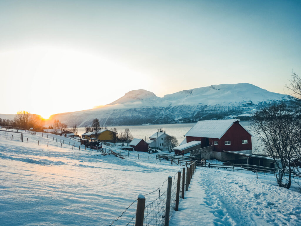 Nordre Hestnes Gård, ferme près de Tromsø en Norvège