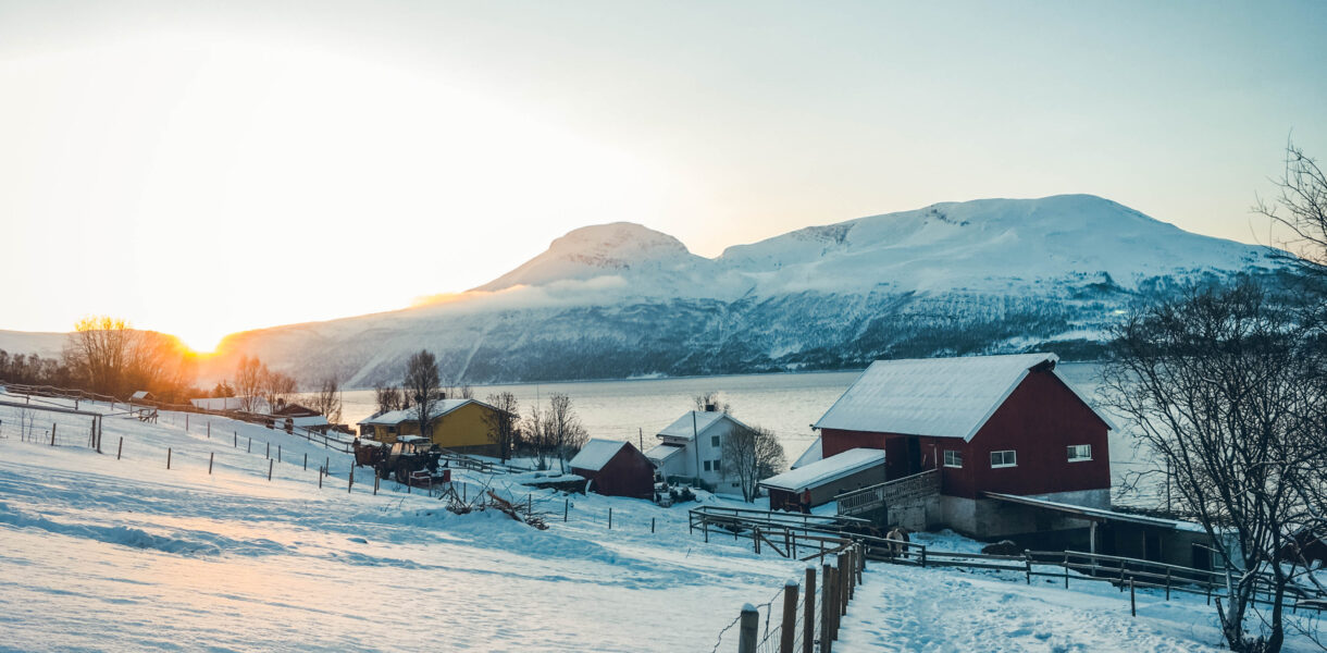 Nordre Hestnes Gård, ferme près de Tromsø en Norvège