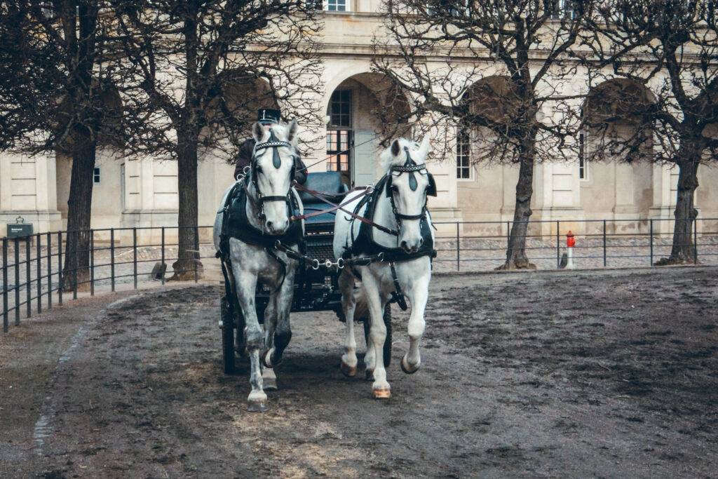 Relève de la garde Copenhague