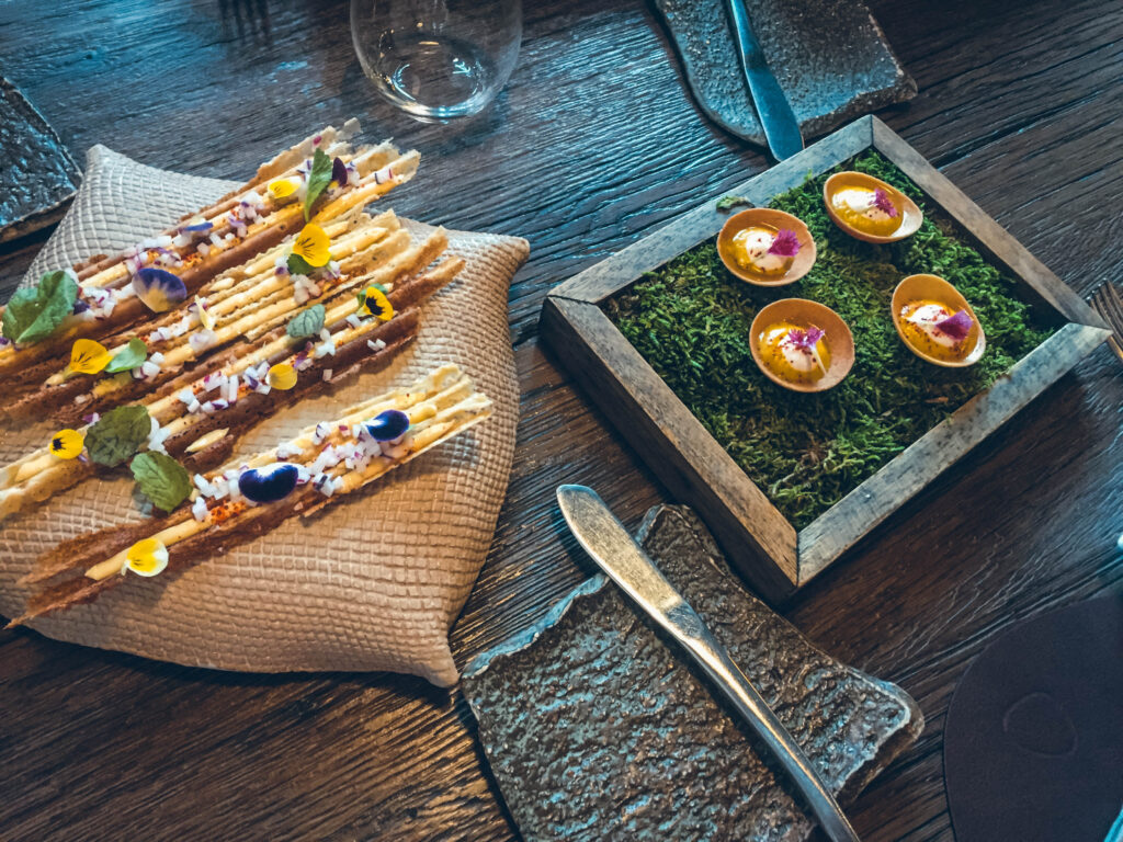 Restaurant Aux Terasses Tournus, restaurant étoilé en Europe