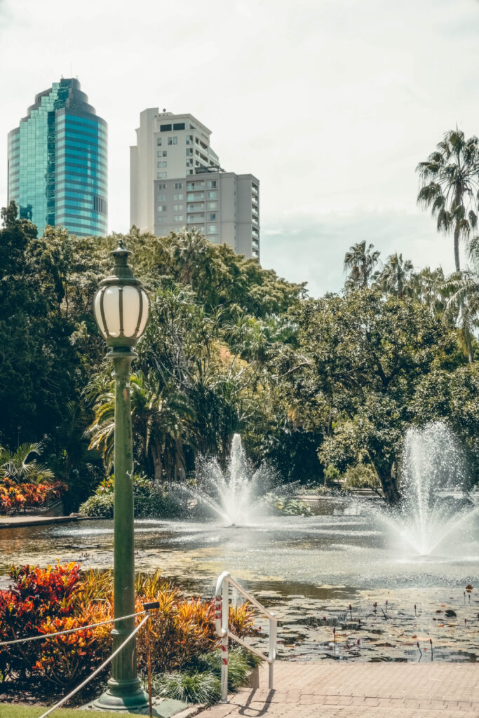 Que faire à Brisbane ? Visiter le jardin botanique