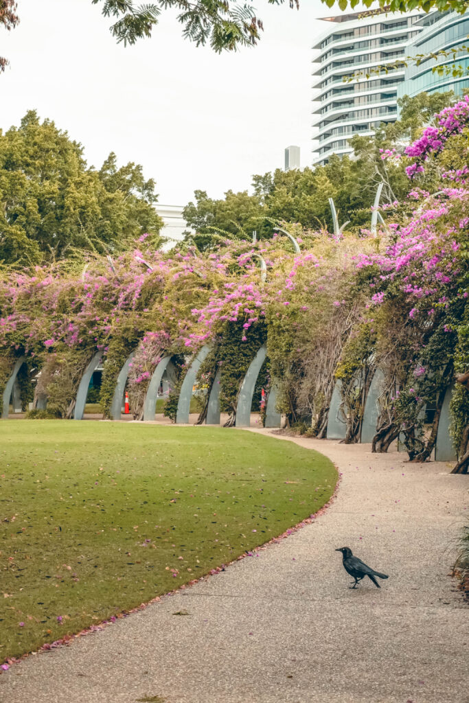 Que faire à Brisbane : South Bank Parklands