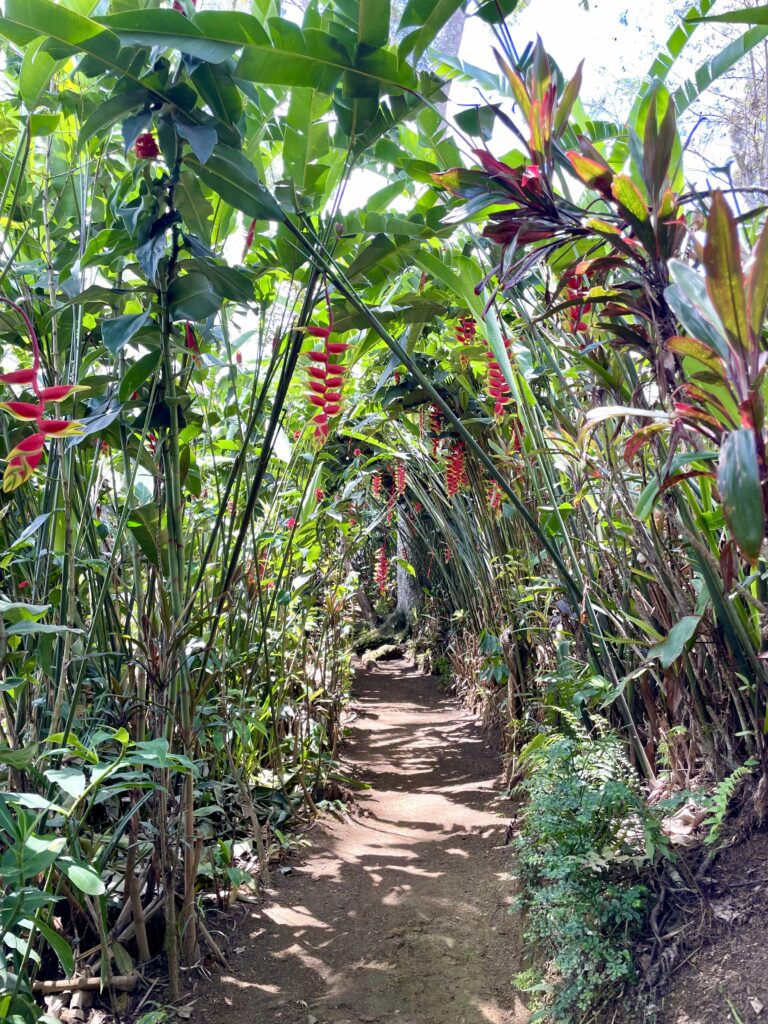 Agereto village Goroka